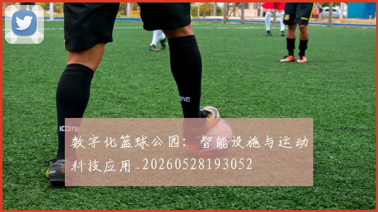 数字化篮球公园:智能设施与运动科技应用_20260528193052